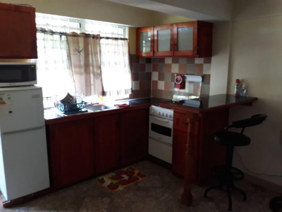 Home Style Apartment J Roseau Bagian luar foto